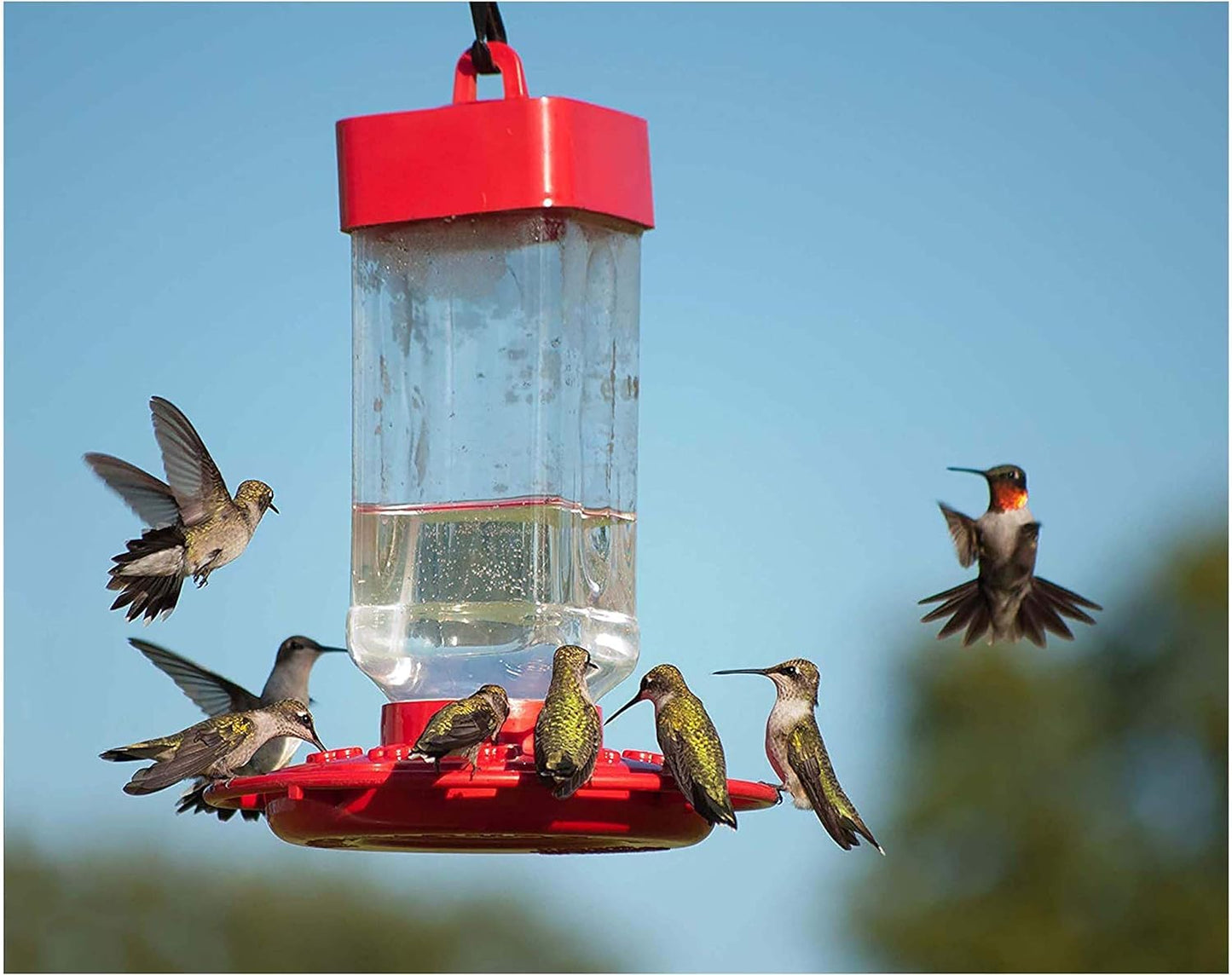 Kaytee Electro Nectar - Ready-to-Use 64oz Liquid | Hydrating Formula for Birds - 2-Pack