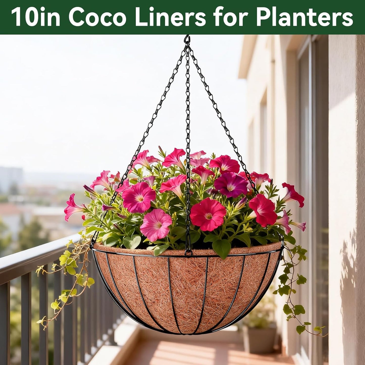 ZeeDix Coconut Liners - 10 Inch Round Coir Replacement for Planters | Ideal for Flowers & Vegetables