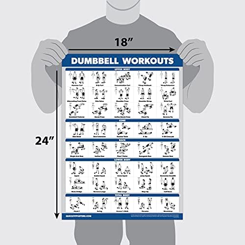 Palace Learning 4 Pack - Laminated Muscle Workout Charts for Dumbbell, Barbell & Bodyweight (18" x 24")