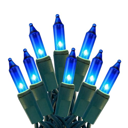 HISHINY Christmas Lights 100 Count Blue Christmas Tree String Lights with Green Wire for Outdoor Indoor Christmas Decorations Wedding Decorations Valentines Day Decor,UL Certified (21feet)