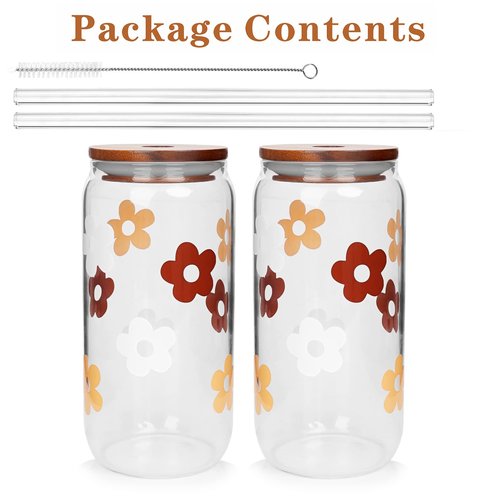 Glass Cups with Lids and Straws, Can Shaped Glass Cups, 20OZ Glass Cups, Drinking Glasses, Iced Coffee Glasses Cup, Smoothie Cups, Tumbler Glass, Reusable Iced Coffee Cup Drinking Glasses -Set of 2