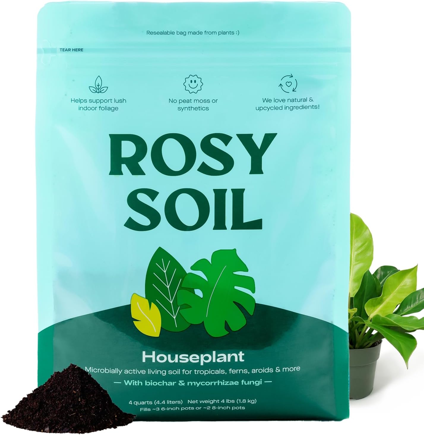 Rosy Soil Indoor Potting Soil - Organic Mix Enriched with Biochar for Healthy House Plants | 4qt