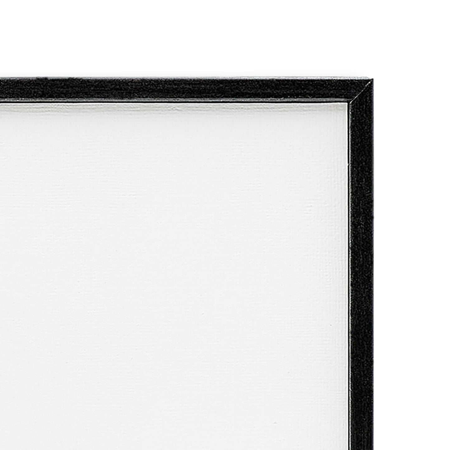 Stupell Industries 'Black Stallion Horse Portrait', Framed Giclee Art, Black, 11 x 14 Inches, Easy to Hang and Sturdy, Made in USA, by Carol Walker