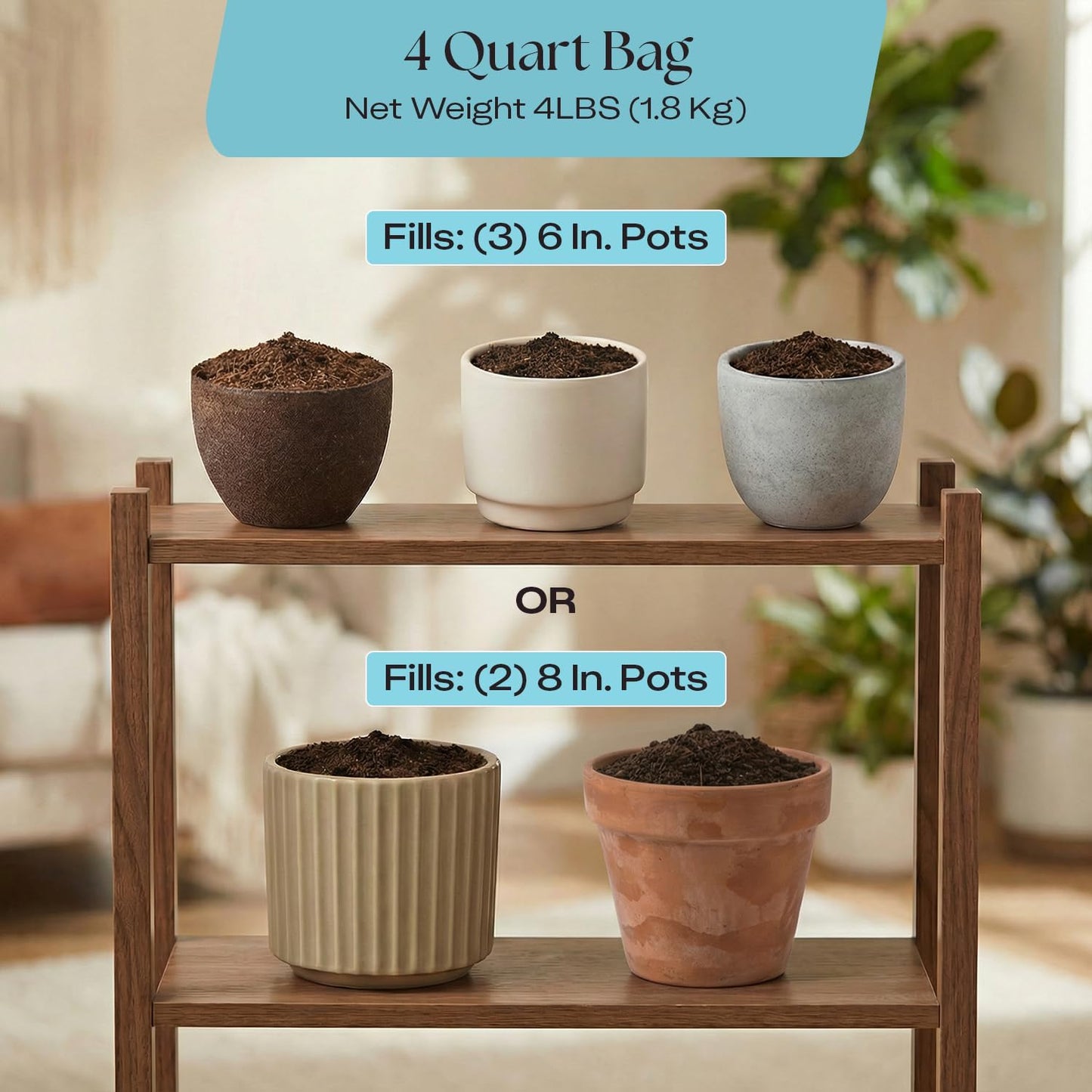 Rosy Soil Indoor Potting Soil - Organic Mix Enriched with Biochar for Healthy House Plants | 4qt