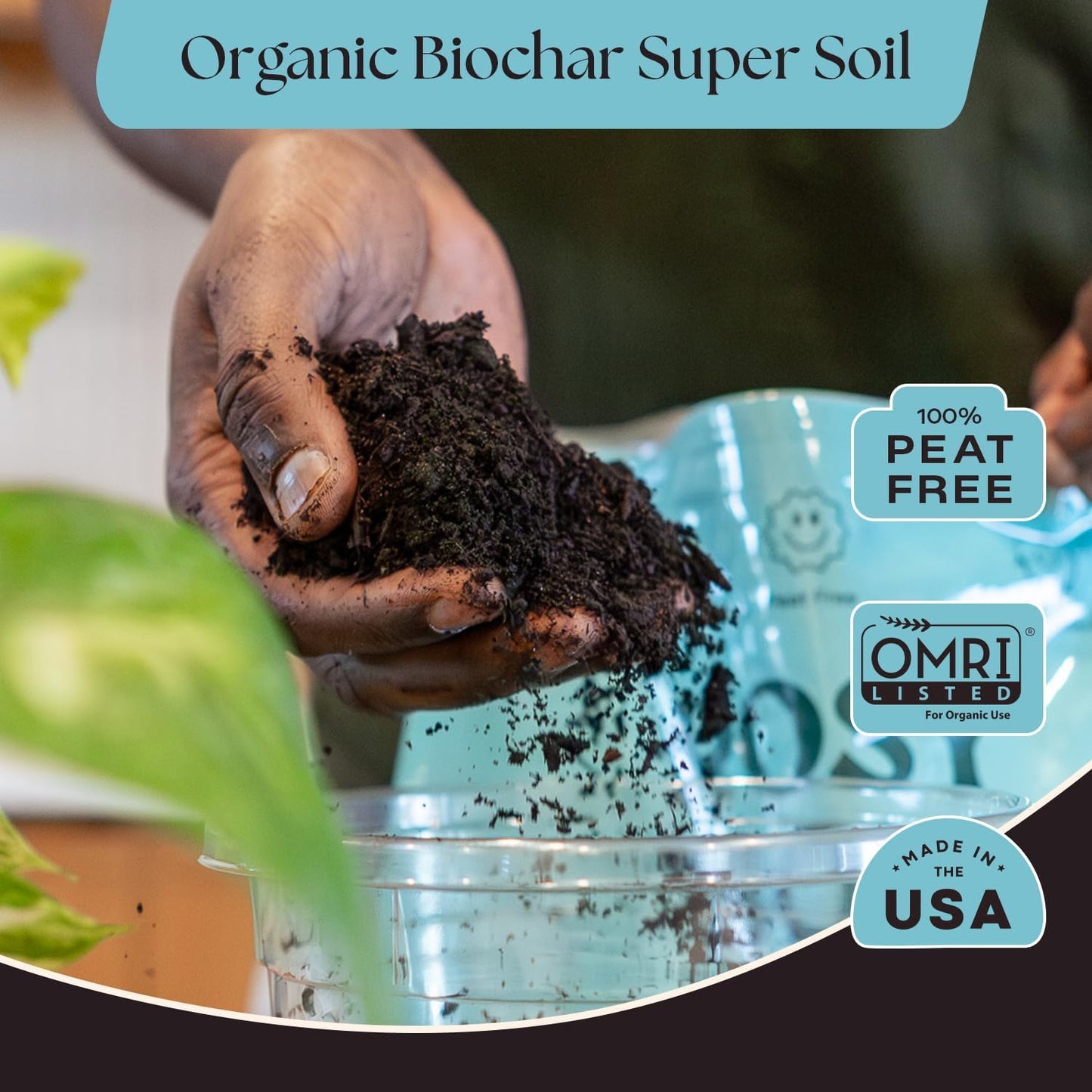 Rosy Soil Indoor Potting Soil - Organic Mix Enriched with Biochar for Healthy House Plants | 4qt