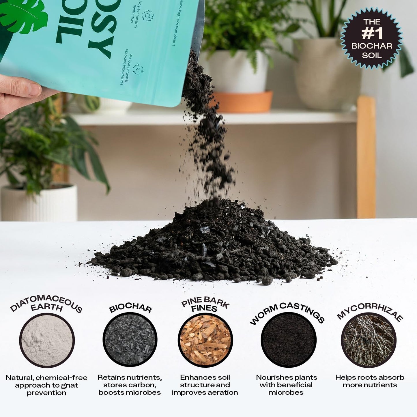 Rosy Soil Indoor Potting Soil - Organic Mix Enriched with Biochar for Healthy House Plants | 4qt