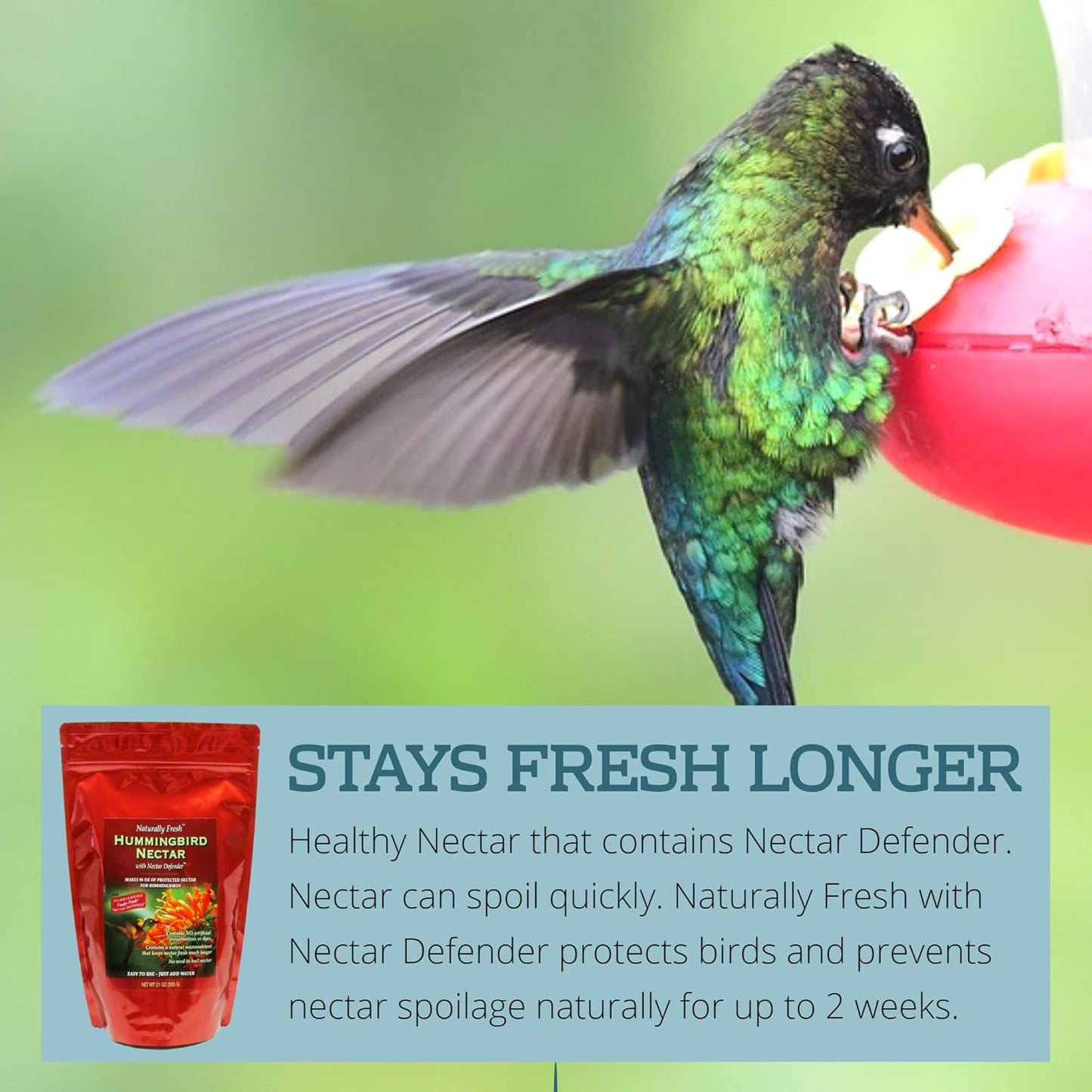 Sapphire Labs Hummingbird Nectar - Naturally Fresh Powder with Nectar Defender | Makes 96 oz Clear Nectar