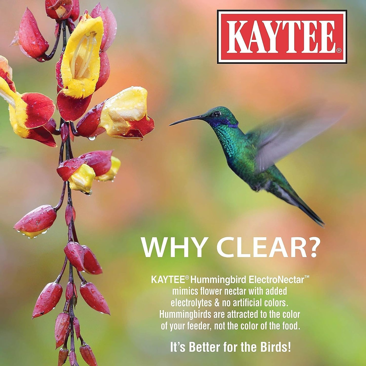 Kaytee Electro Nectar - Ready-to-Use 64oz Liquid | Hydrating Formula for Birds - 2-Pack