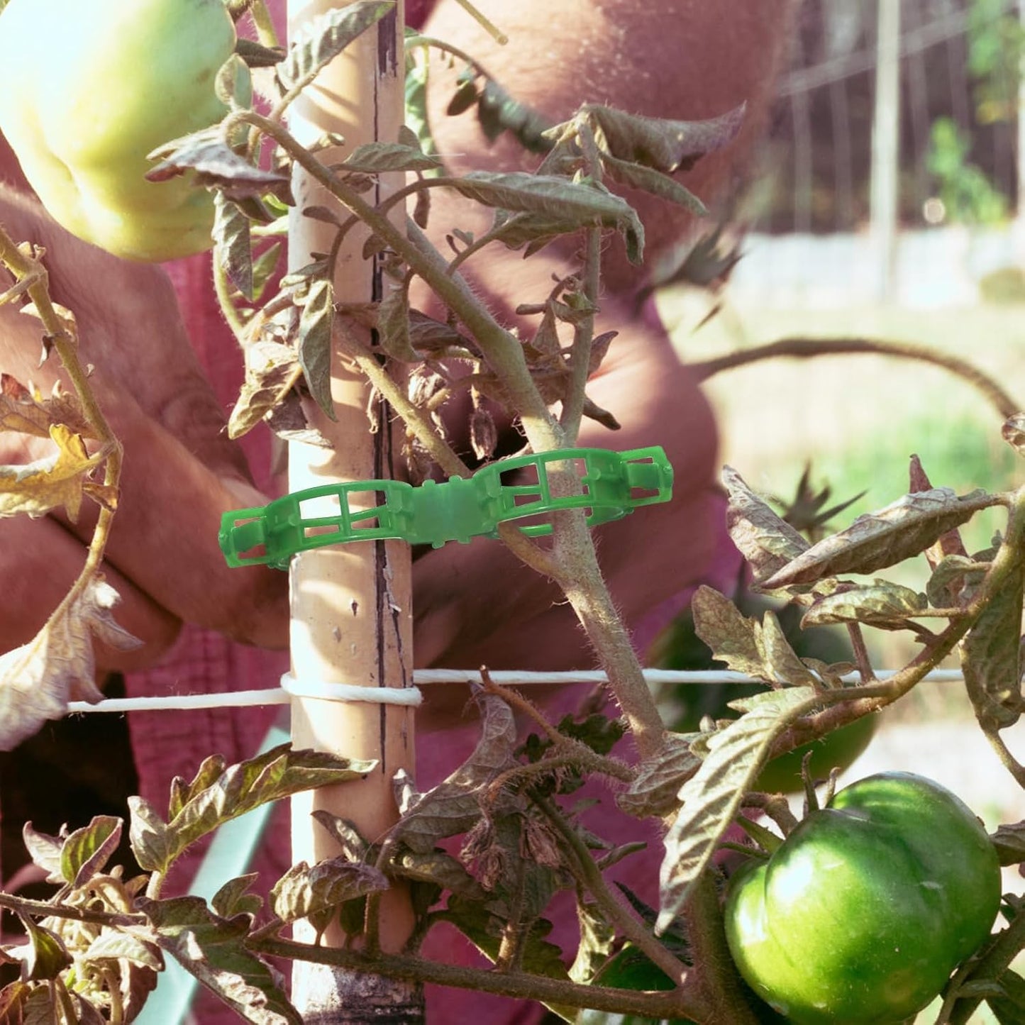 OJYUDD Plant Support Clips - 300 Pcs Plastic Tomato Clips for Climbing Plants | Green