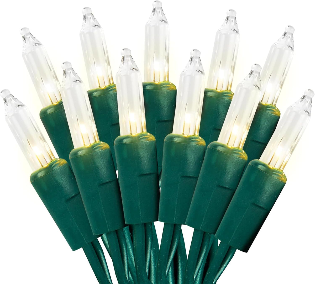 Skiennix Clear Christmas Lights - 100 Count Warm White String Lights | 21ft Green Wire for Indoor/Outdoor Decor
