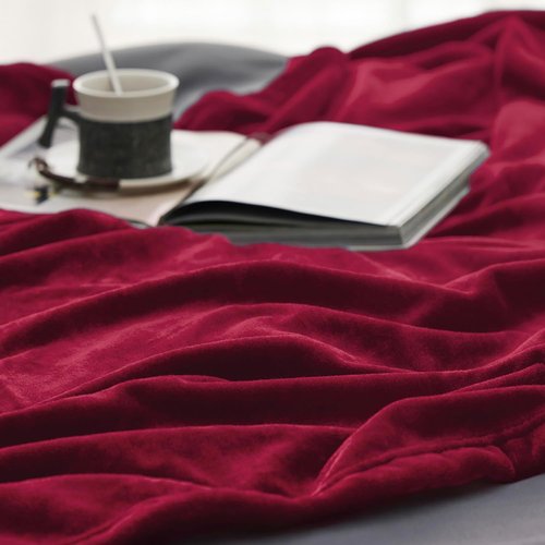 Bedsure Flannel Fleece Luxury Blanket - Cozy Plush Microfiber in Red | Queen Size (90"x90")