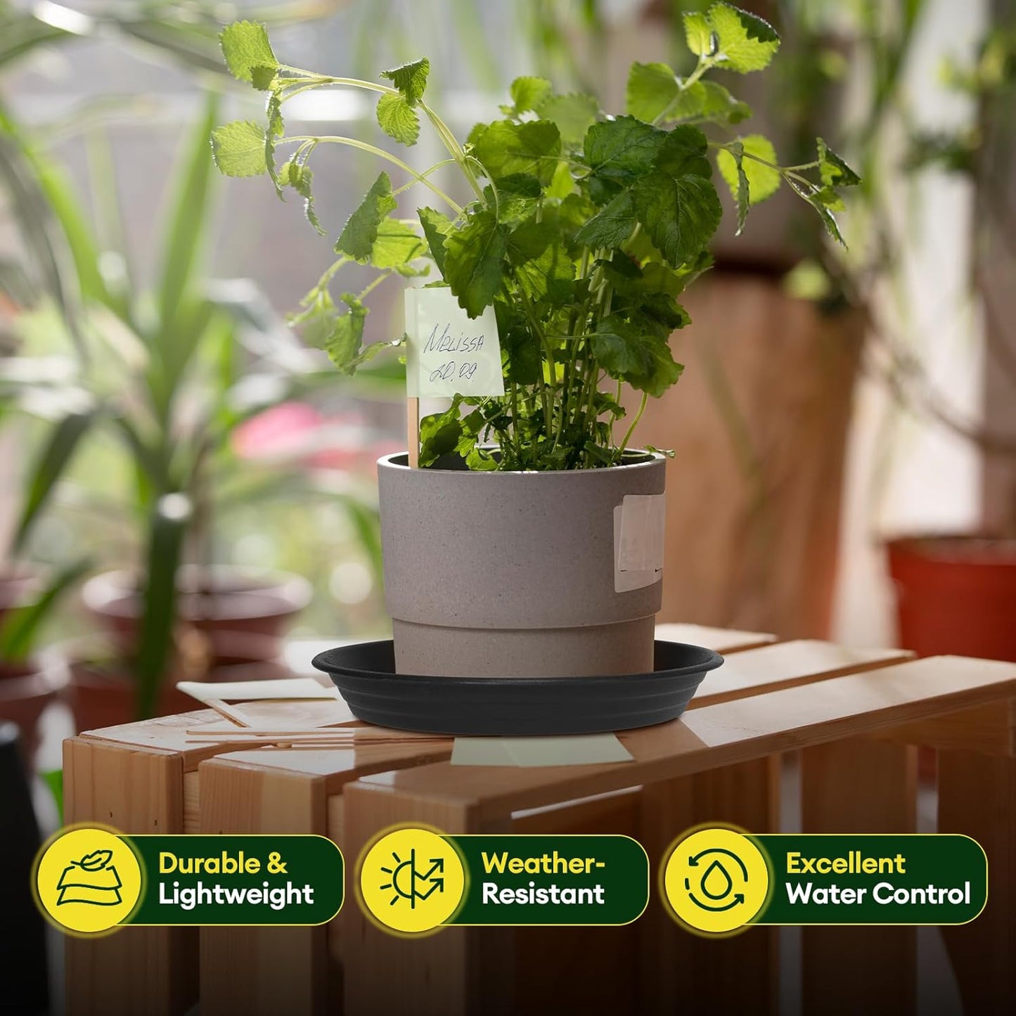 Maygrove Plant Saucers - Heavy Duty 6 Pack for Indoor & Outdoor Use | 8, 10, 12 Inch Black Trays