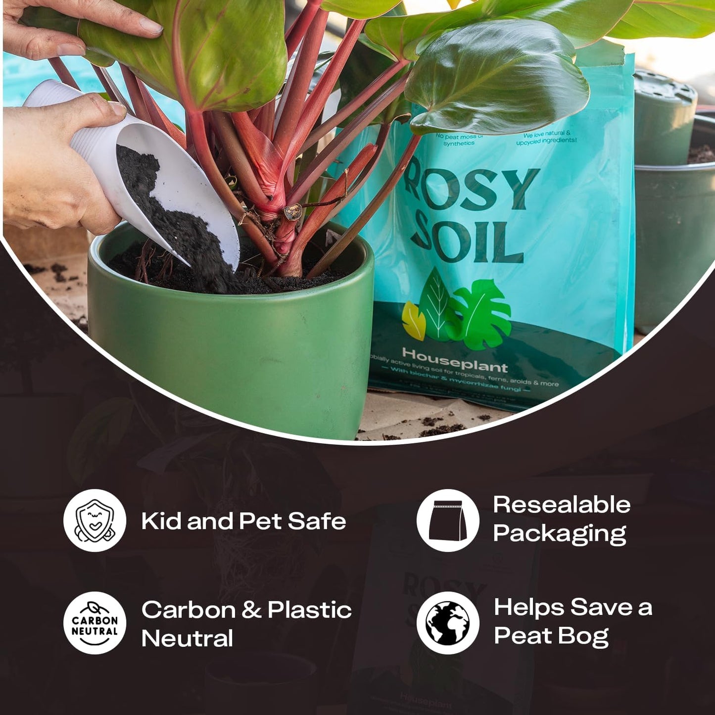 Rosy Soil Indoor Potting Soil - Organic Mix Enriched with Biochar for Healthy House Plants | 4qt