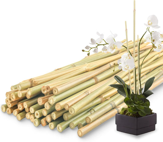 Bamboo Plant Stakes - 50 Pcs 2ft Garden Support Sticks for Indoor/Outdoor Plants | Ideal for Tomatoes & Climbing Plants