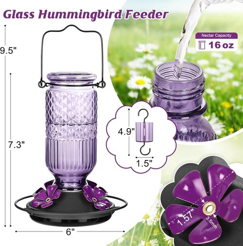 FEED GARDEN Glass Hummingbird Feeder - 16 Oz Outdoor Feeder with 4 Bee Guard Ports & Ant Moat | Purple, 2 Pack