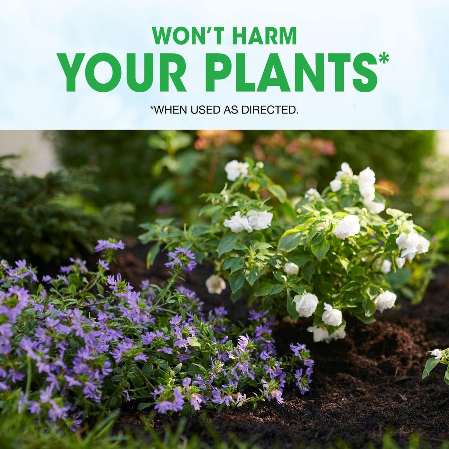 Roundup Weed Barrier Granules - Effective Weed Prevention Solution | 5.37 lbs.