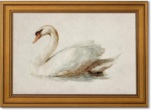 Gold Framed Canvas Wall Art - Elegant Vintage Watercolor Swan Painting | 9x11in Decor for Living Room, Bedroom, Office