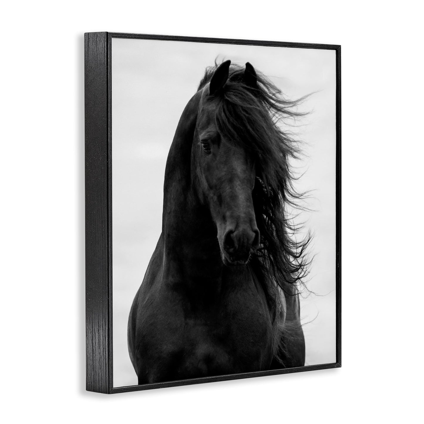Stupell Industries 'Black Stallion Horse Portrait', Framed Giclee Art, Black, 11 x 14 Inches, Easy to Hang and Sturdy, Made in USA, by Carol Walker