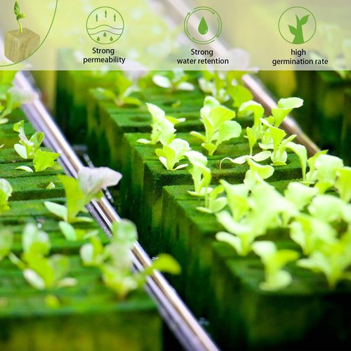 Halatool 1 Inch Rockwool Cubes Garden Rock Wool Stonewool Grow Cubes Starter Plugs for Hydroponics Soilless Cultivation Clone Plants Germination Start (4 Sheets, 200 Plugs in Total)