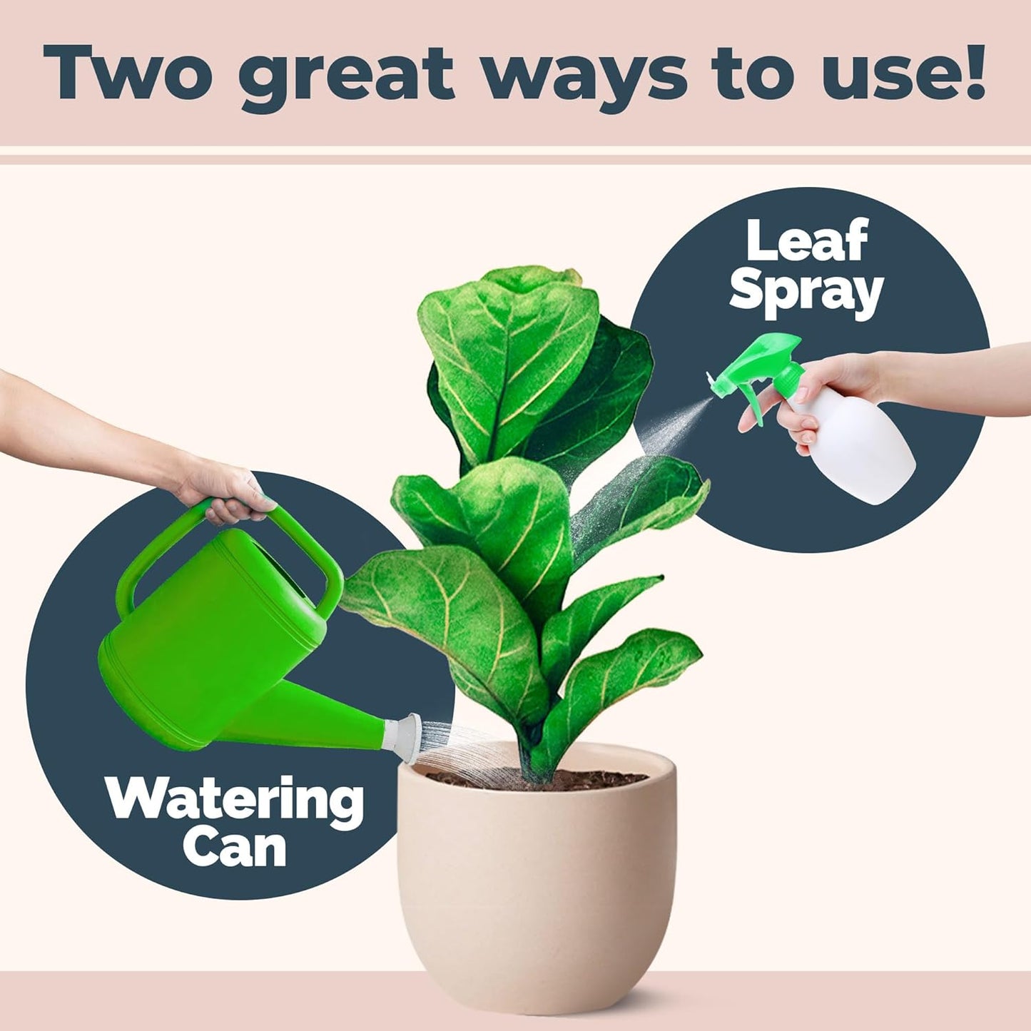 Skiennix Fiddle Leaf Fig Plant Food - Liquid Nutrient for Bigger Leaves & Stronger Roots | 8 oz