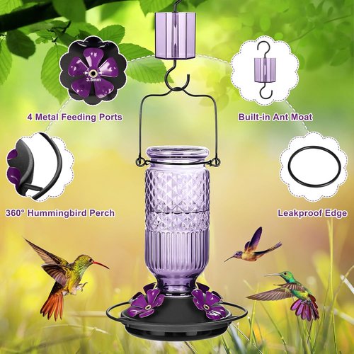 FEED GARDEN Glass Hummingbird Feeder - 16 oz Outdoor Feeder with Bee-Proof Ports & Easy Clean Design | Purple
