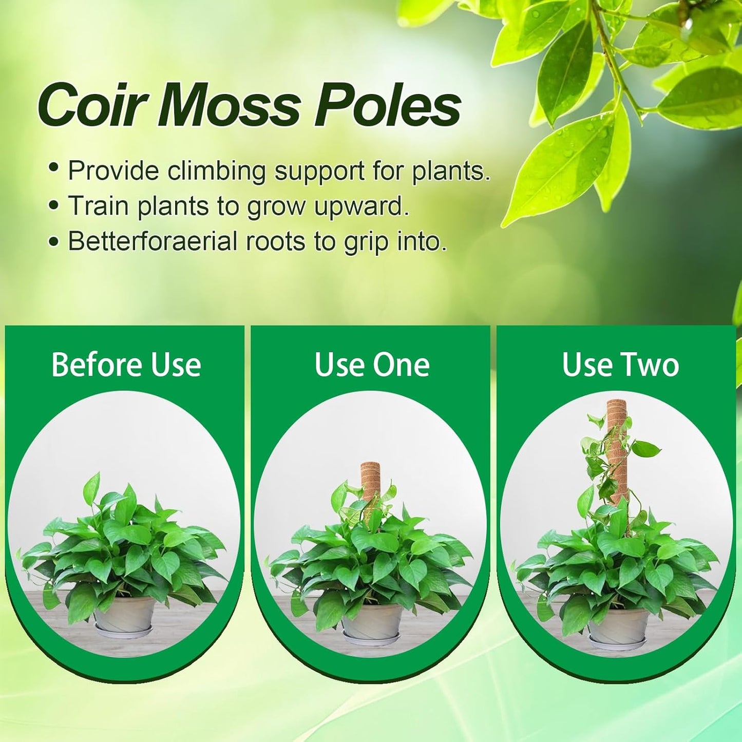 Skiennix 6 Pack Moss Poles for Monstera Plant Support - Stackable Design (4x17in + 2x12in) for Indoor Plants