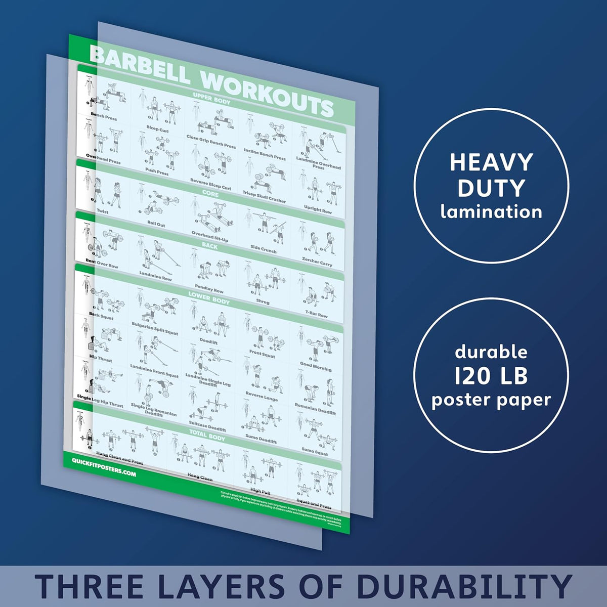 Palace Learning 4 Pack - Laminated Muscle Workout Charts for Dumbbell, Barbell & Bodyweight (18" x 24")