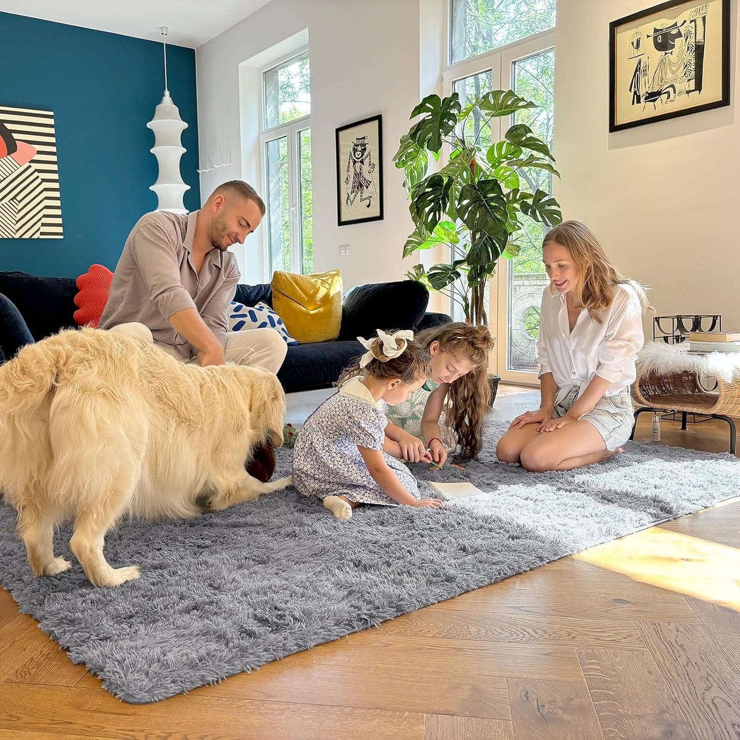 OLANLY Large Area Rug - Soft Fluffy Shaggy Carpet for Living Room & Bedroom | Machine Washable, Light Grey