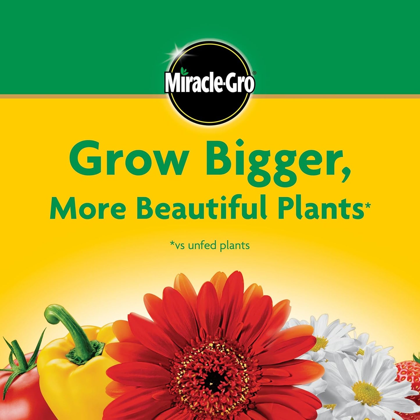 Miracle-Gro All-Purpose Plant Food - Water Soluble Fertilizer for Indoor & Outdoor Plants | 1.5 lbs (Pack of 6)