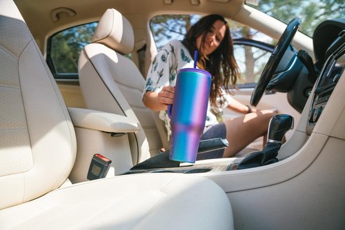 IRON °FLASK Co-Pilot Insulated Mug w/Boot, Straw & Flip Cap Lids - Cup Holder Bottle for Hot, Cold Drink - Leak-Proof - Water, Coffee Portable Travel Mug - Cream & Berries, 40 Oz