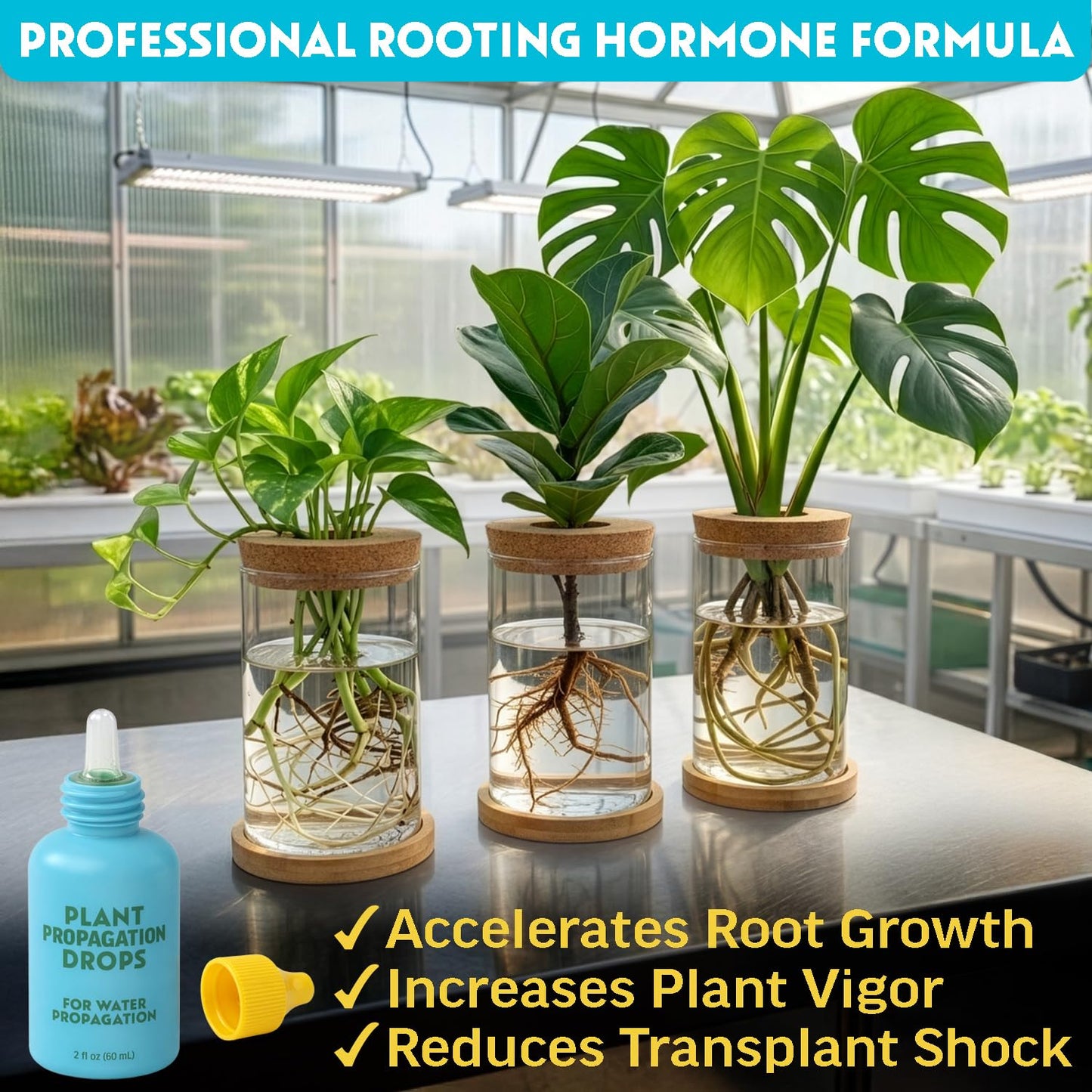Rooting Drops for Plant Propagation - Faster, Stronger Roots & Less Shock | Supports Healthy Growth