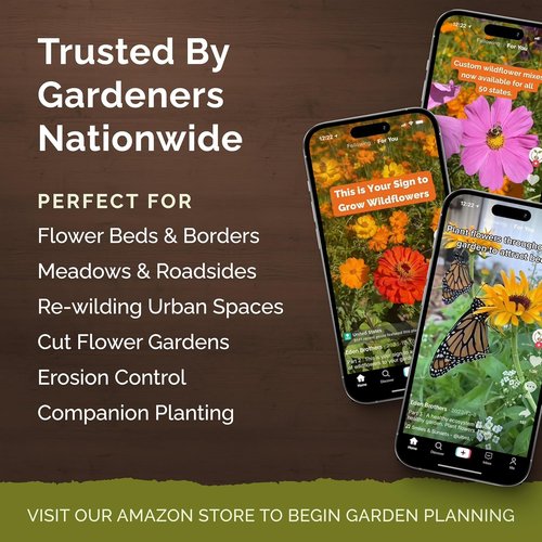 Eden Brothers Perennial Wildflower Mixed Seeds - 120,000+ Seeds | Attract Pollinators, 1/4 lb, Zones 3-10