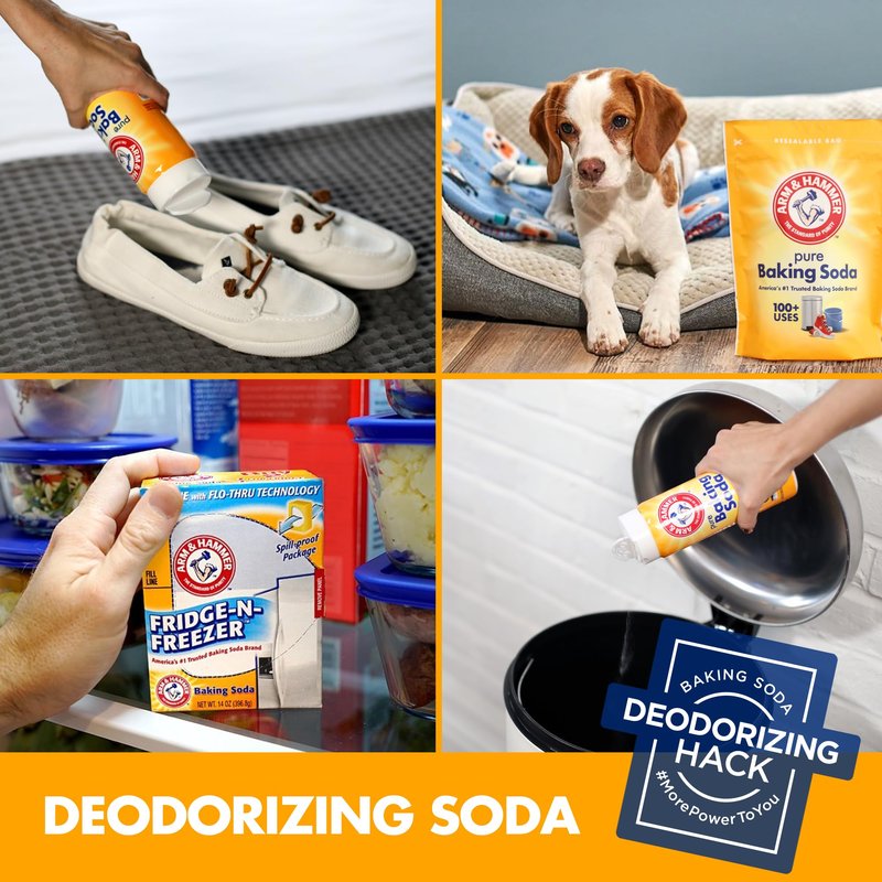Arm & Hammer Baking Soda, 1 Pound (Pack of 12)