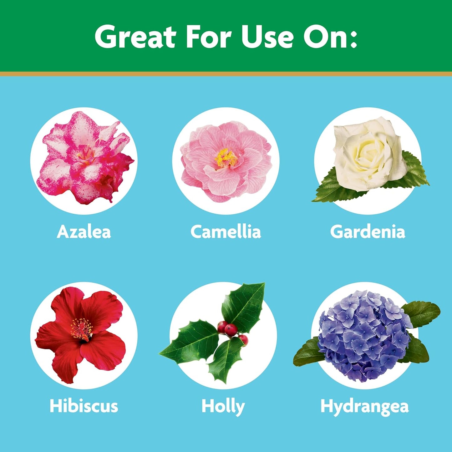 Miracle-Gro Plant Food - Water Soluble Fertilizer for Azaleas, Camellias & Rhododendrons | 5 lb.