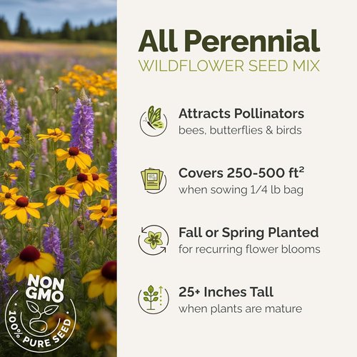 Eden Brothers Perennial Wildflower Mixed Seeds - 120,000+ Seeds | Attract Pollinators, 1/4 lb, Zones 3-10