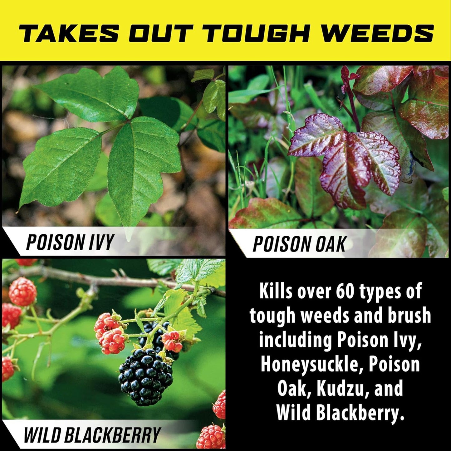 Ortho GroundClear Poison Ivy & Tough Brush Killer - Concentrate Makes 8 Gallons, 32 fl. oz.