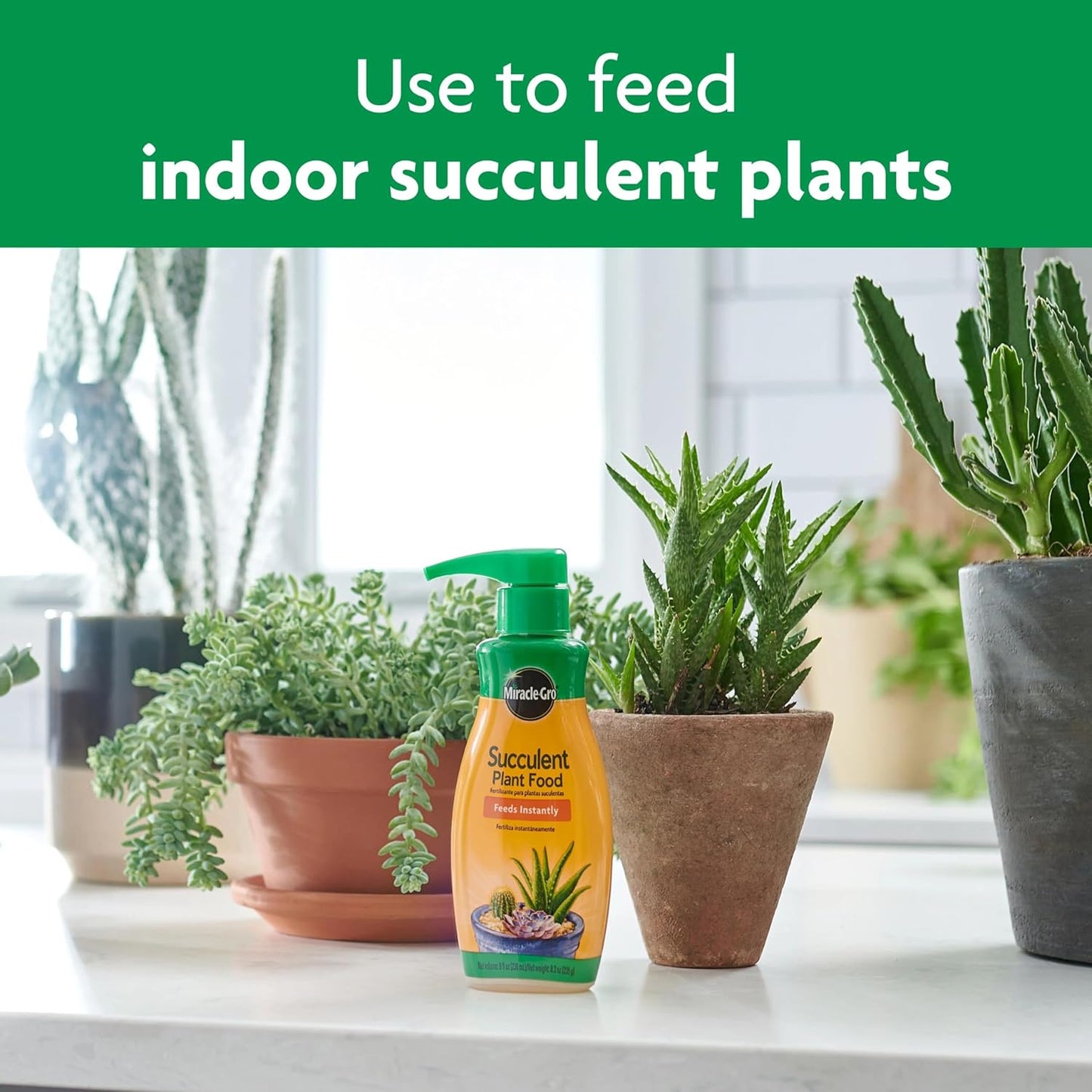 Miracle-Gro Succulent Plant Food - Liquid Fertilizer for Jade & Aloe - 8 fl. oz. (2 Pack) | Feed Every 2 Weeks
