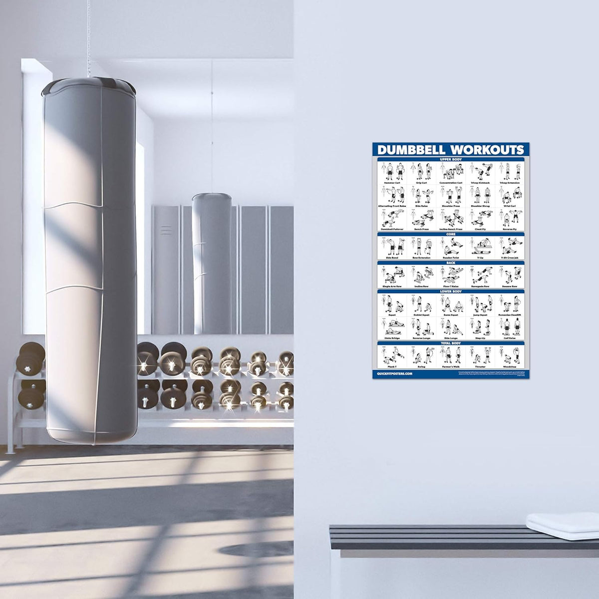 Palace Learning 4 Pack - Laminated Muscle Workout Charts for Dumbbell, Barbell & Bodyweight (18" x 24")
