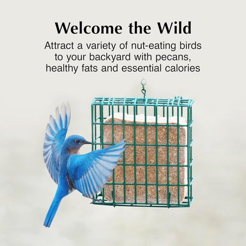 C&S Pecan Delight Suet Cakes - No Melt Formula for Wild Birds | 11.75 Ounces, Pack of 8