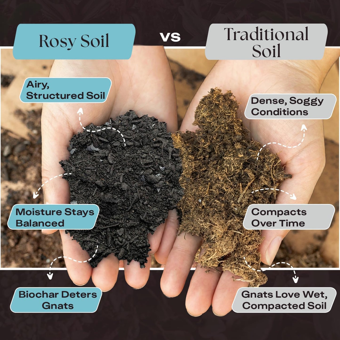 Rosy Soil Indoor Potting Soil - Organic Mix Enriched with Biochar for Healthy House Plants | 4qt