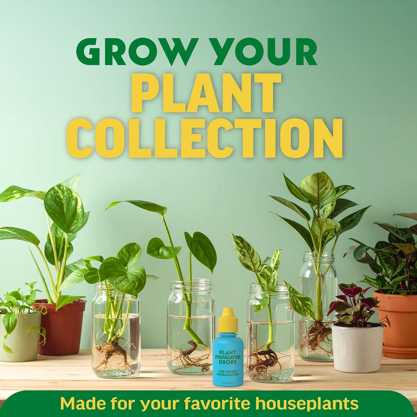 Rooting Drops for Plant Propagation - Faster, Stronger Roots & Less Shock | Supports Healthy Growth