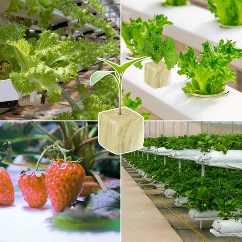 Halatool 1 Inch Rockwool Cubes Garden Rock Wool Stonewool Grow Cubes Starter Plugs for Hydroponics Soilless Cultivation Clone Plants Germination Start (4 Sheets, 200 Plugs in Total)