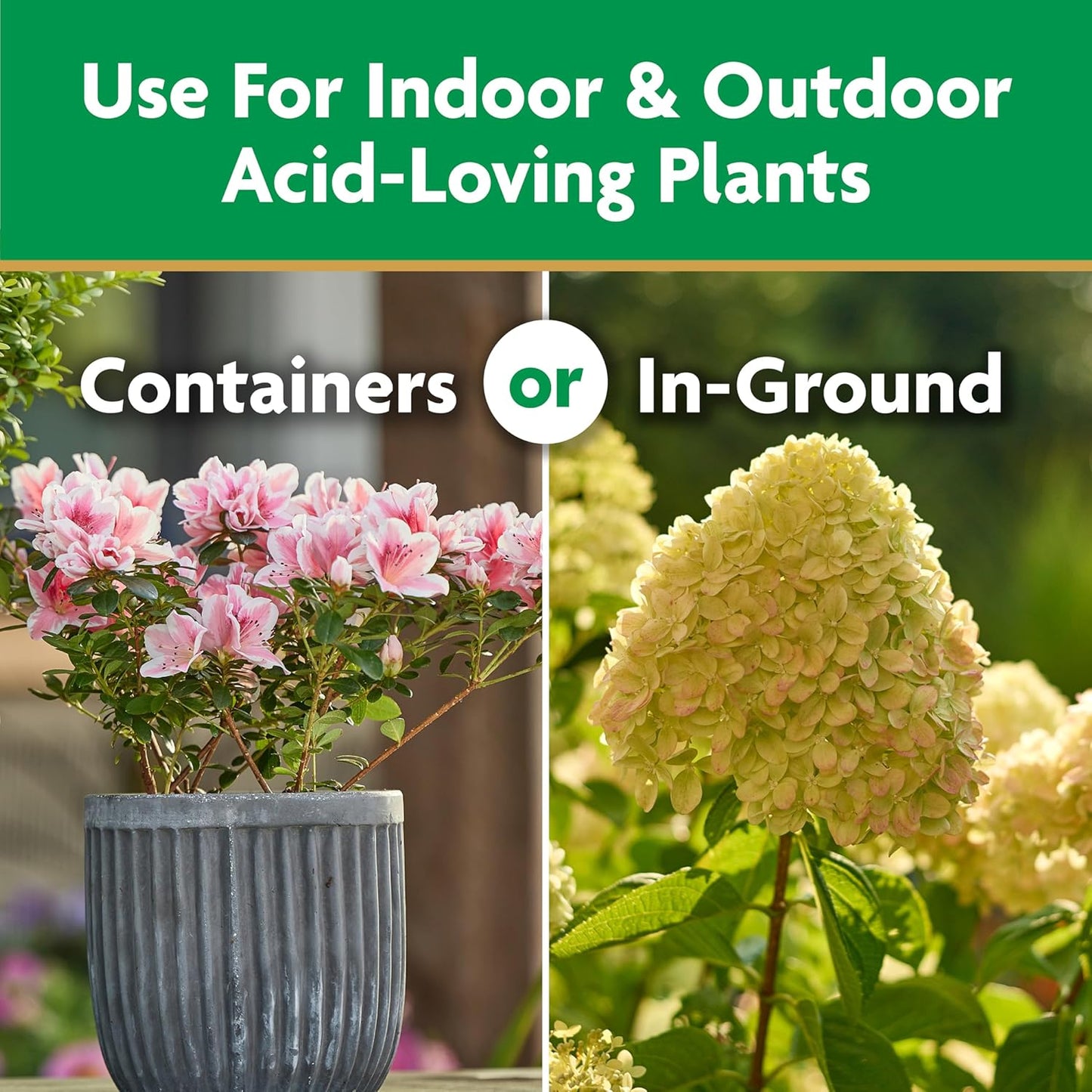 Miracle-Gro Plant Food - Water Soluble Fertilizer for Azaleas, Camellias & Rhododendrons | 5 lb.