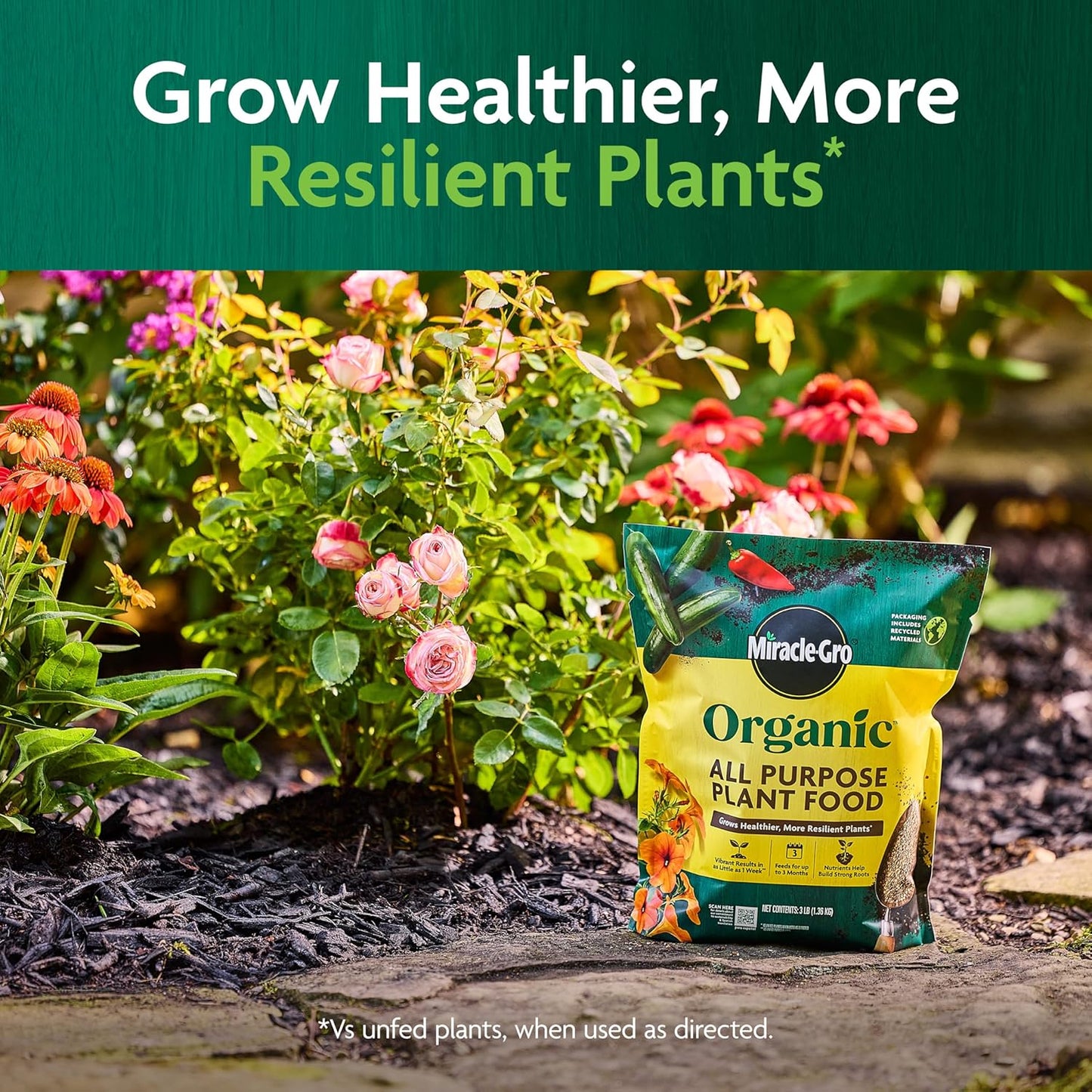 Miracle-Gro Organic All Purpose Plant Food - 3 lb Garden Fertilizer for Vegetables, Flowers & More