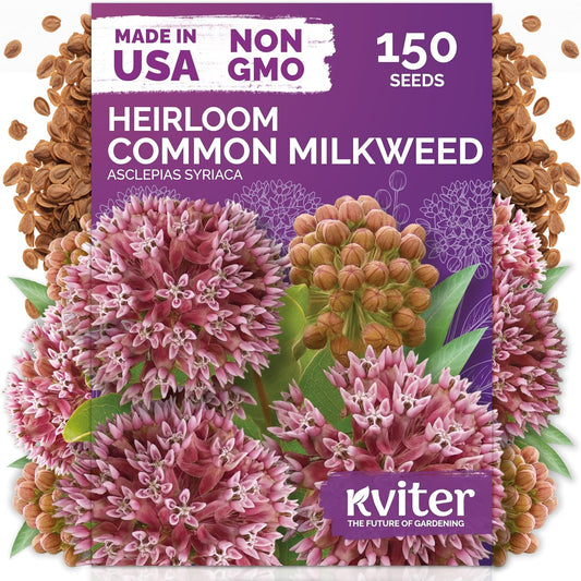 KVITER 150 Common Milkweed Seeds - Pink Perennial Wildflower for Butterflies | Non-GMO Heirloom Seed Packets for Gardens