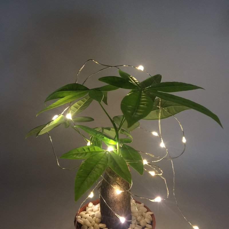 Pack 2 Indoor Battery-operated Led String Lights with Timer,Mini Leds Fairy Lights for Wedding Centerpiece Christmas Party Lighting Decorations,50 Count Leds,18FT Silver Wire (Warm White)