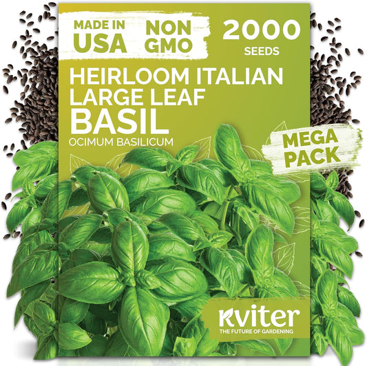 KVITER 2000 Italian Basil Seeds - Sweet Genovese Heirloom & Non-GMO for Indoor/Outdoor Gardens