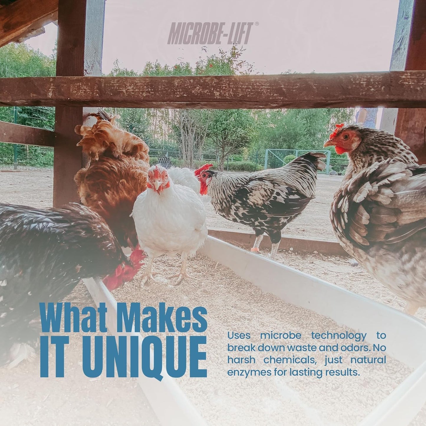 Microbe-Lift Chicken Coop Cleaner & Deodorizer - Natural 32 oz Solution for Poultry Waste & Bedding