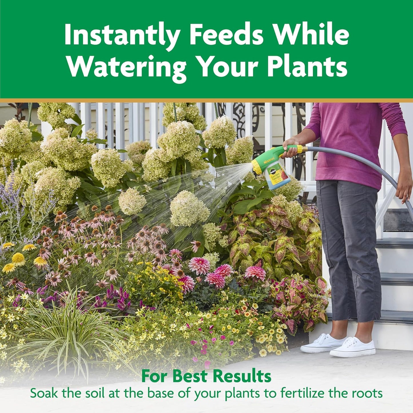 Miracle-Gro Plant Food - Water Soluble Fertilizer for Azaleas, Camellias & Rhododendrons | 5 lb.