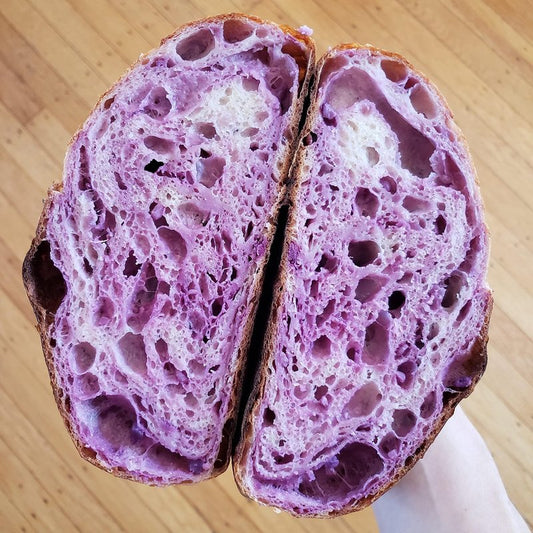 Breadtopia Live Sourdough Starter | Organic Non-GMO Ingredients | Active & Ready to Go | It's Alive - Must be Fed Immediately on Delivery